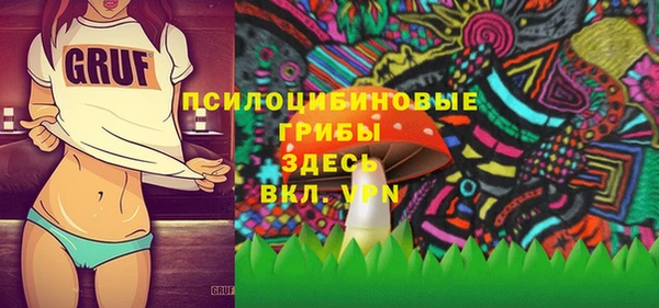 трава Новокубанск