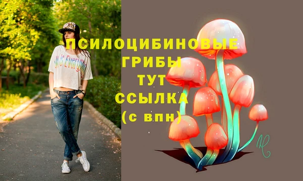 spice Новозыбков