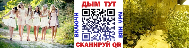 Конопля ГИДРОПОН  закладка  blacksprut вход  Нюрба 